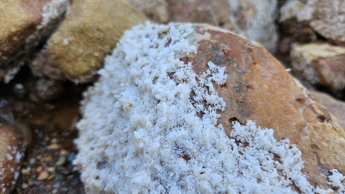 Agregados cristalinos de halita sobre las rocas.
