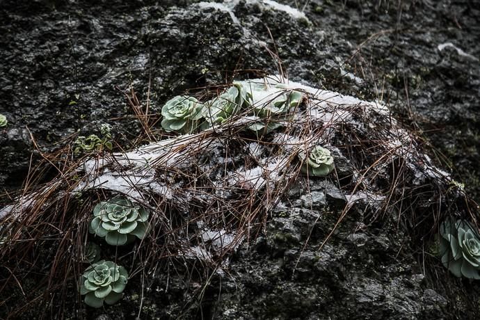 FENÓMENOS METEOROLÓGICOS ADVERSOS   lluvia ...