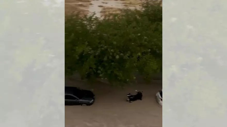 VÍDEO | Las calles de Cuarte de Huerva se trasforman en ríos tras la tromba de agua de esta tarde