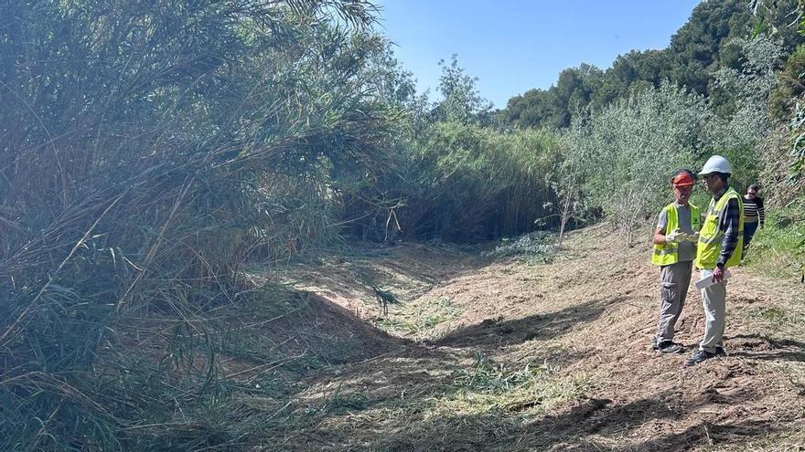 El Ayuntamiento inicia la limpieza de cauces en Orihuela Costa para prevenir inundaciones
