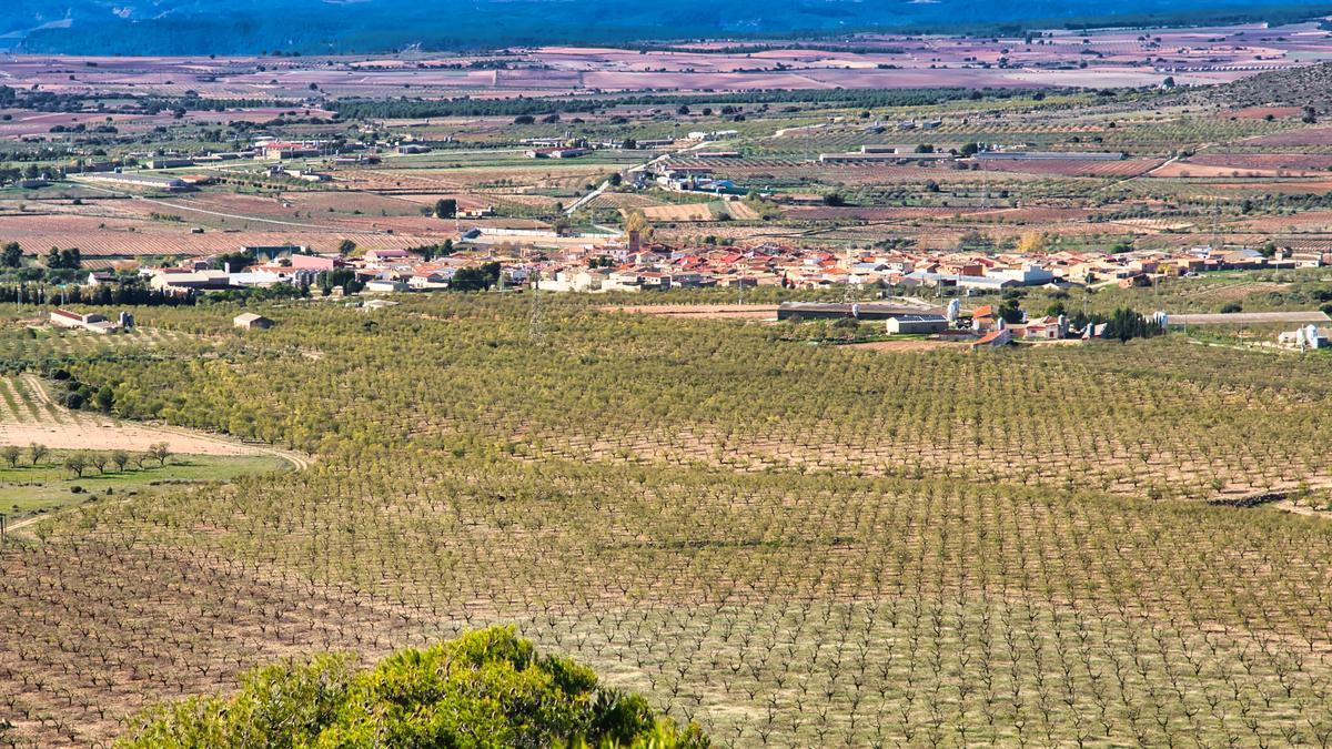 Fuenterrobles, almendros y viñedos en la Meseta valenciana