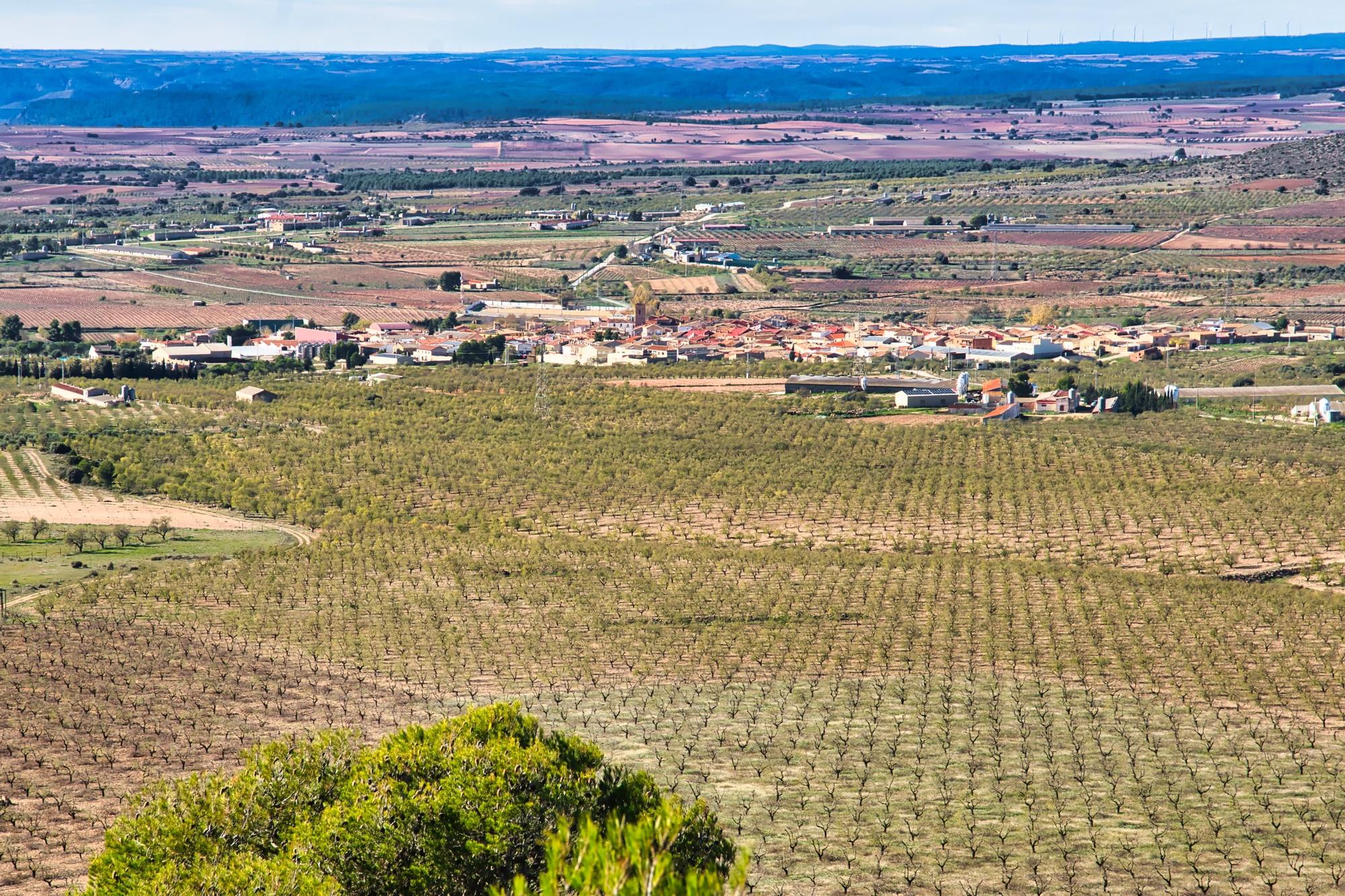 Fuenterrobles, almendros y viñedos en la Meseta valenciana