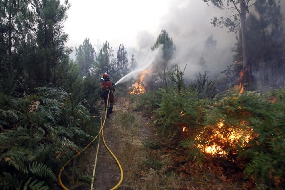 Arbo lucha contra el fuego