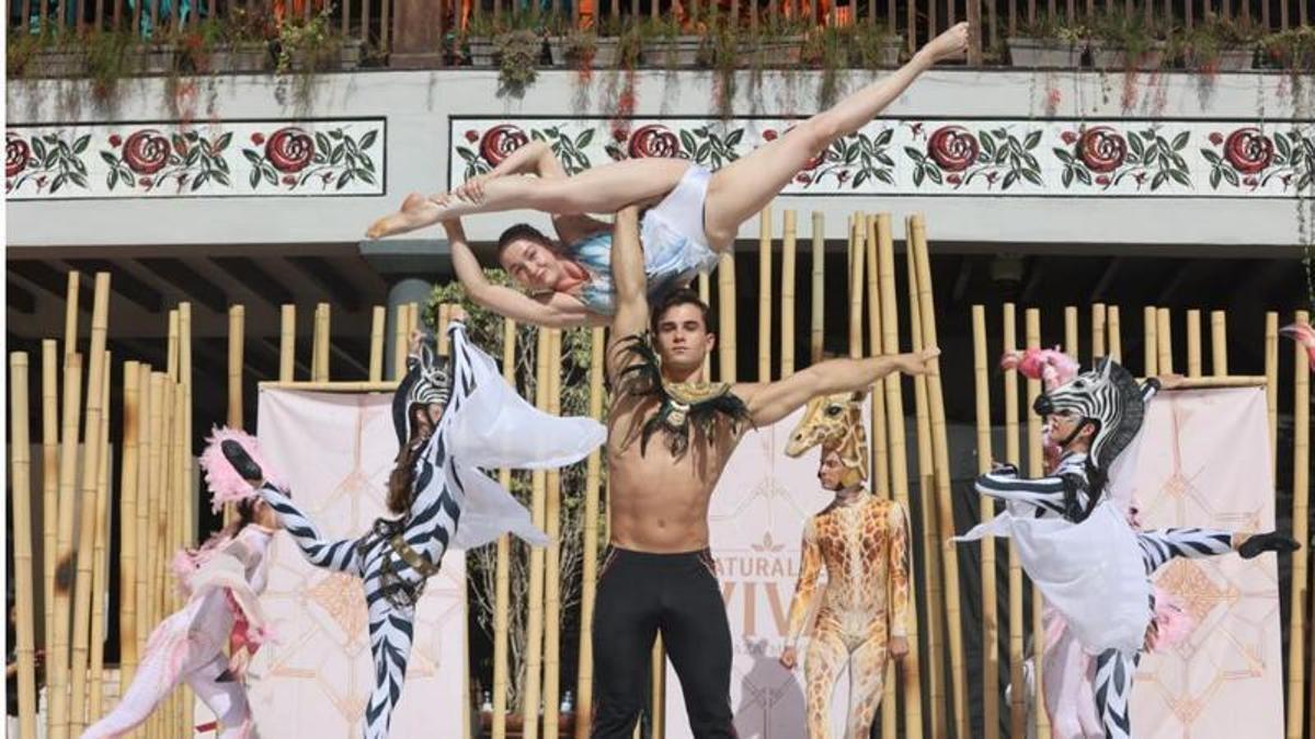 Presentación de 'Naturaleza viva' en Plaza Mayor.