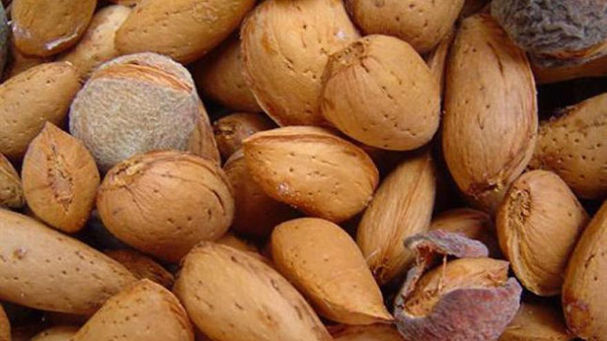 Las almendras contienen vitamina E