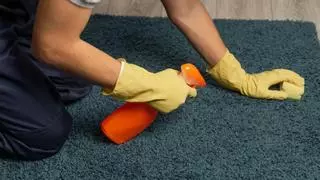 Cómo limpiar las alfombras de baño: el truco para dejarlas relucientes –  Enséñame de Ciencia
