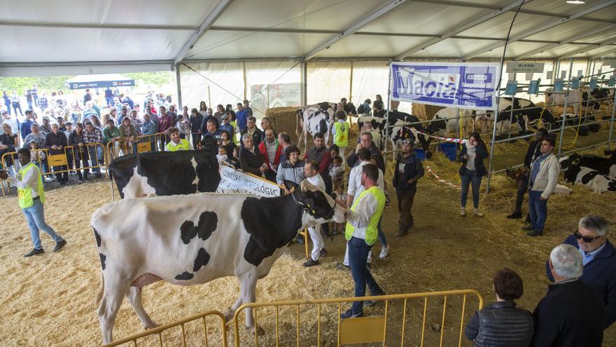 Campllong celebra la Fira Comarcal de Primavera aquest cap de setmana