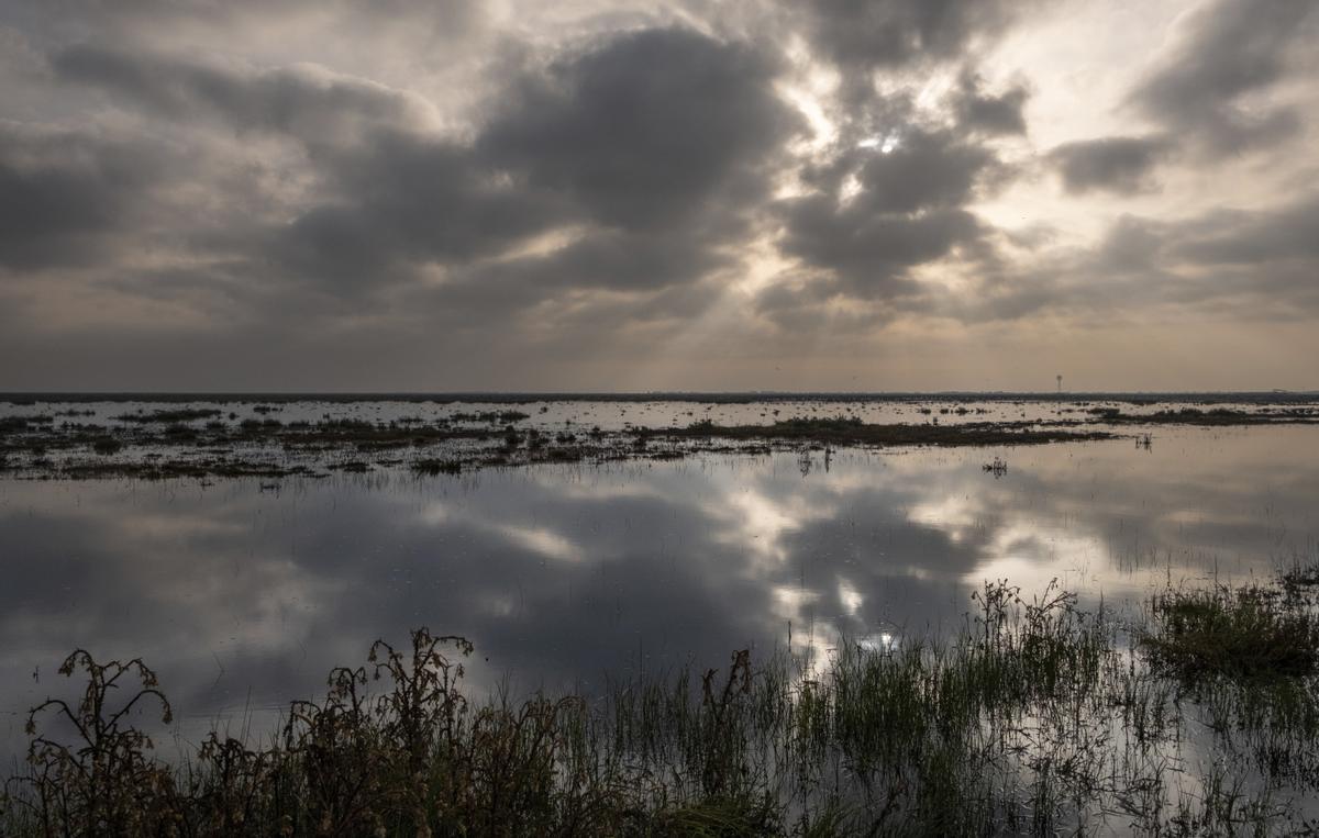 Doñana cumple 55 años como Parque Nacional tratando de asegurar su supervivencia