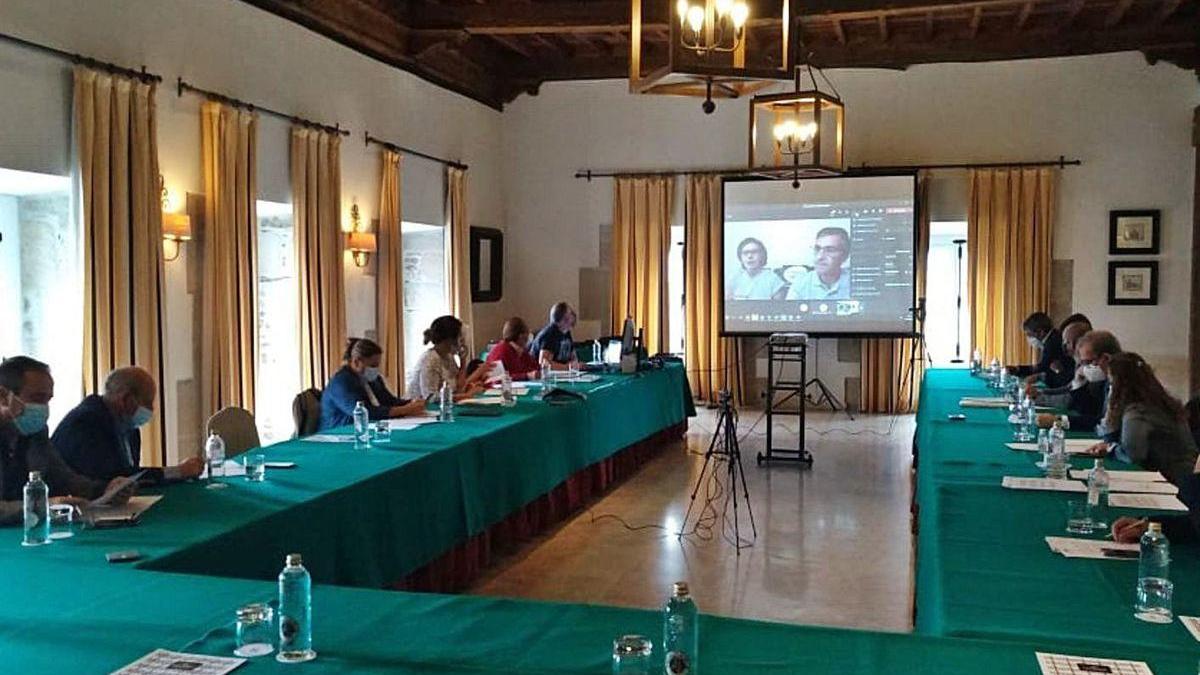 María José Tallón y su marido, Rosendo Estévez, durante la presentación telemática de su proyecto.