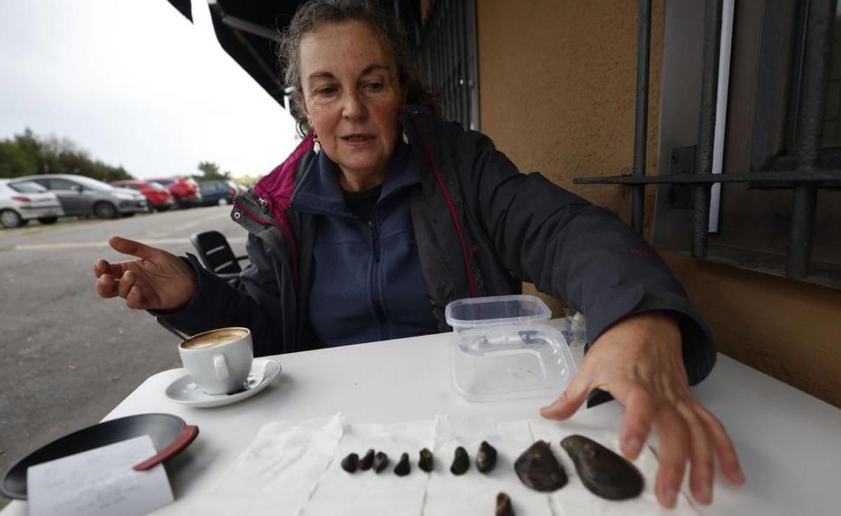 El mejillón pigmeo "desaparece" de la ría: "Ya no llega al 20% de la población" | MIKI LÓPEZ