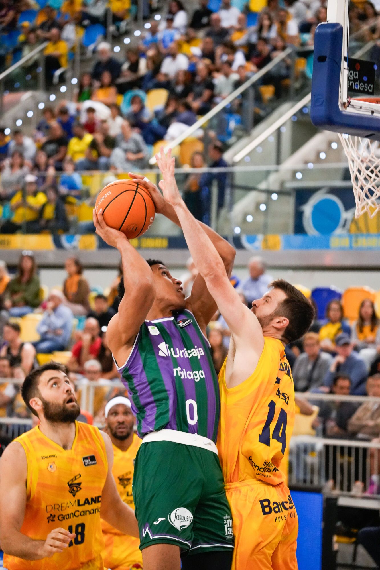 Gran Canaria-Unicaja, en fotos