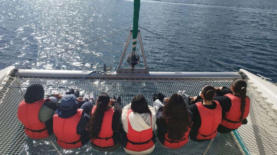 Las debilidades y fortalezas de la bahía, en un documental