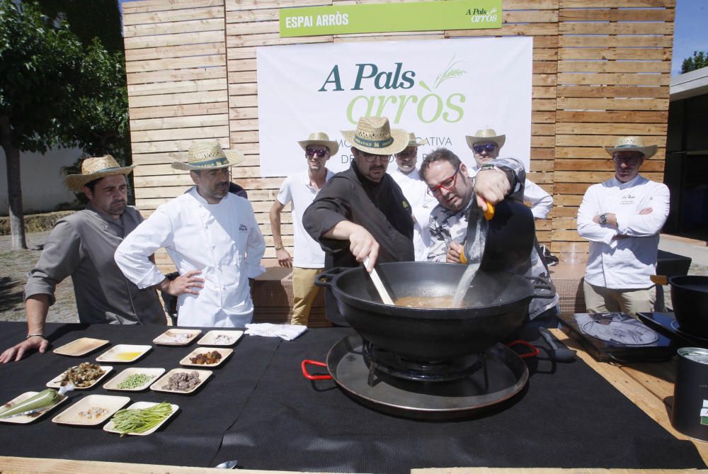 Segona Mostra Divulgativa de l''Arròs de Pals