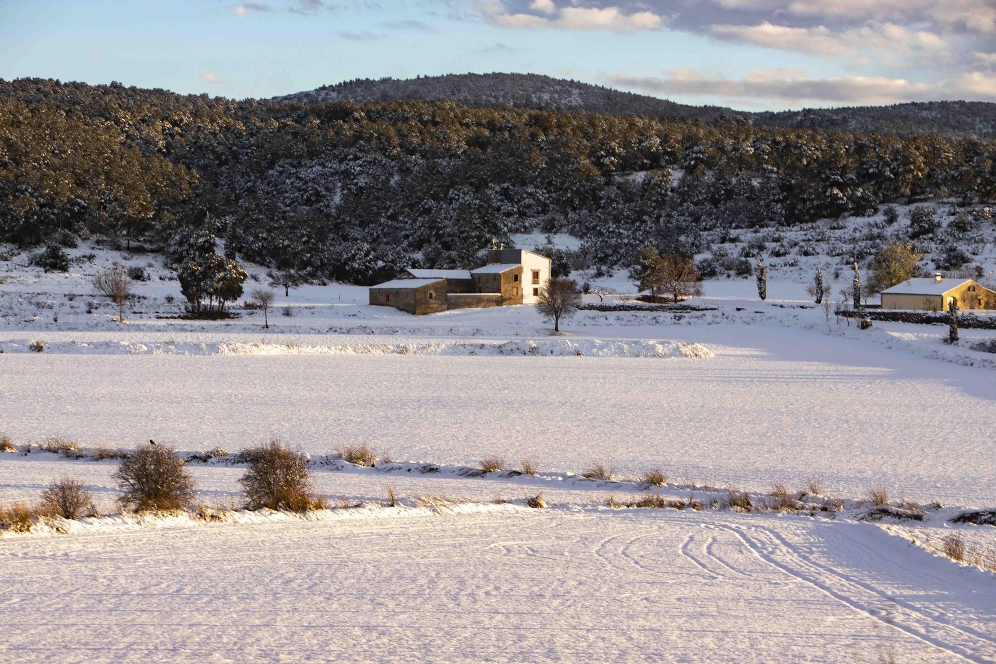 Espectacular nevada en la víspera de Sant Josep en Bocairent