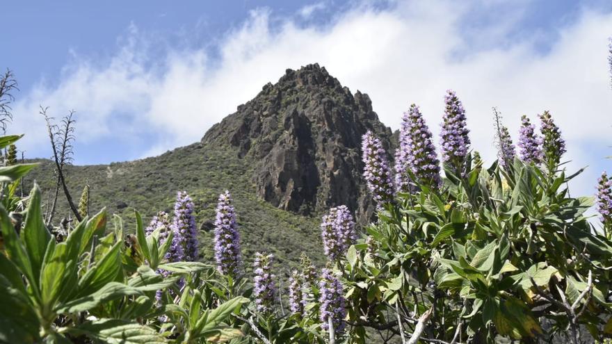 Rutas de senderismo en Gran Canaria