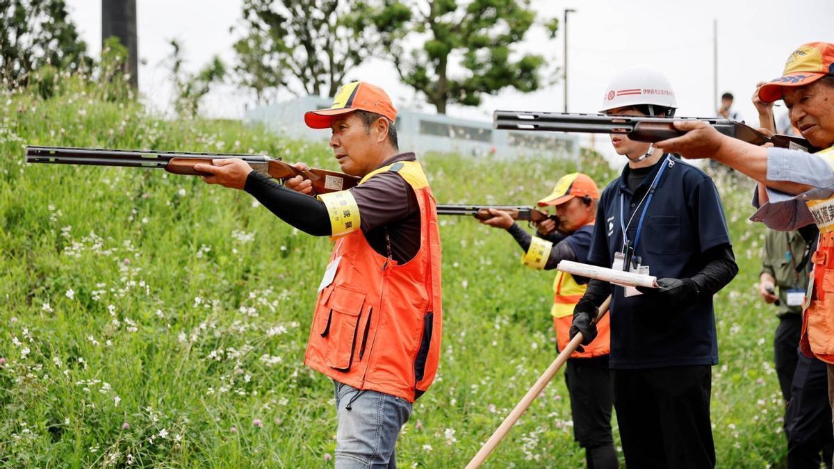 MATANZA OSOS JAPÓN | Japón mata a 14.000 osos en menos de un año para frenar los ataques a la población