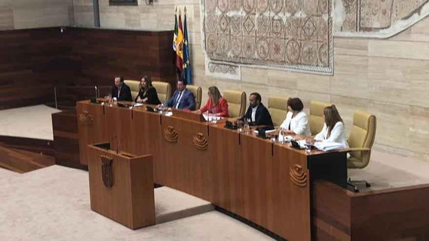 El PSOE presidirá 15 de las 16 comisiones de la Asamblea en la X legislatura