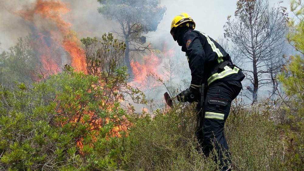 Incendio forestal en Sant Elm