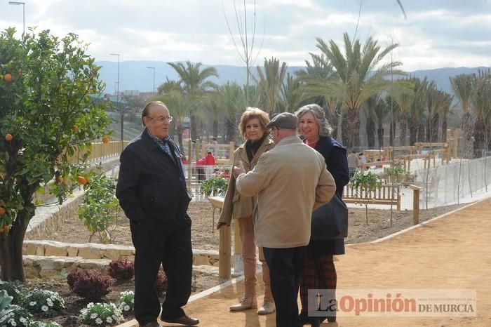 Alameda del Malecón: el entorno urbano del Segura estrena nuevo espacio verde