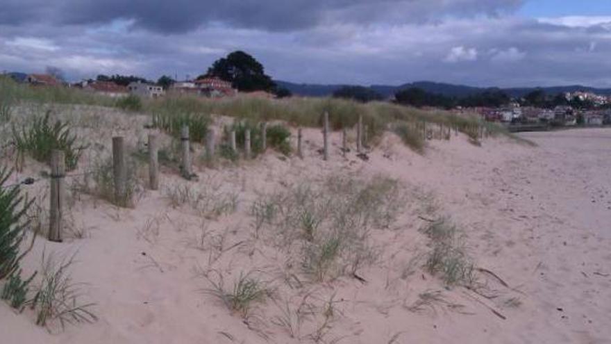 Vista del complejo dunar que se recupera en Praia América.  // Faro