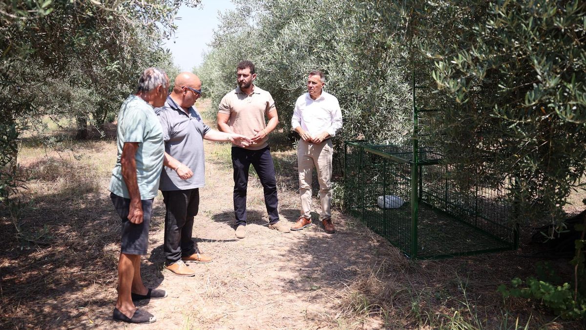 El concejal de Agricultura y Pesca, Fran Capdevila junto a una de las jaulas.