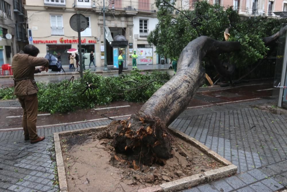 Las incidencias de la borrasca Ana en Málaga