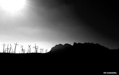 Les mirades més artístiques al Bosc de les creus