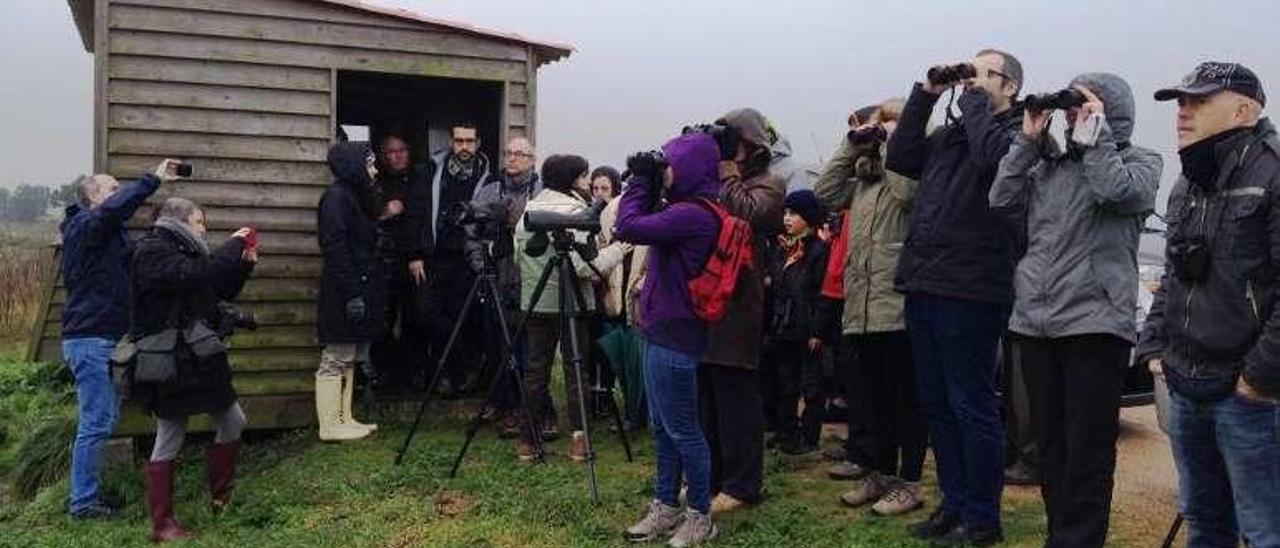 Un momento de la observación de aves, en el complejo intermareal.