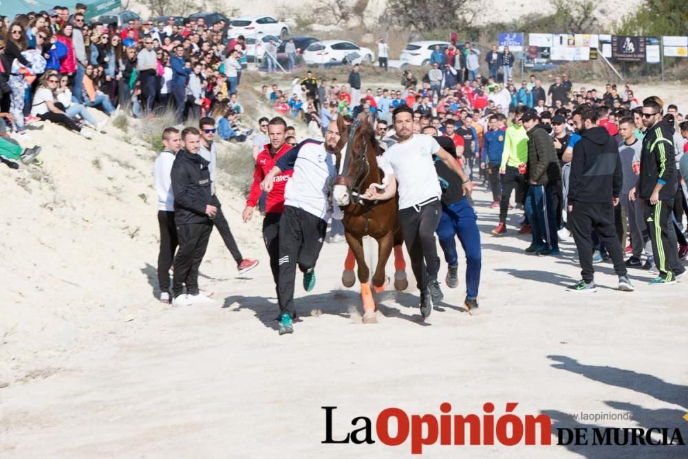 Entrenamiento Caballos del Vino