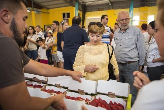 Fiesta de la Freasa en Valsequillo con concurso ...