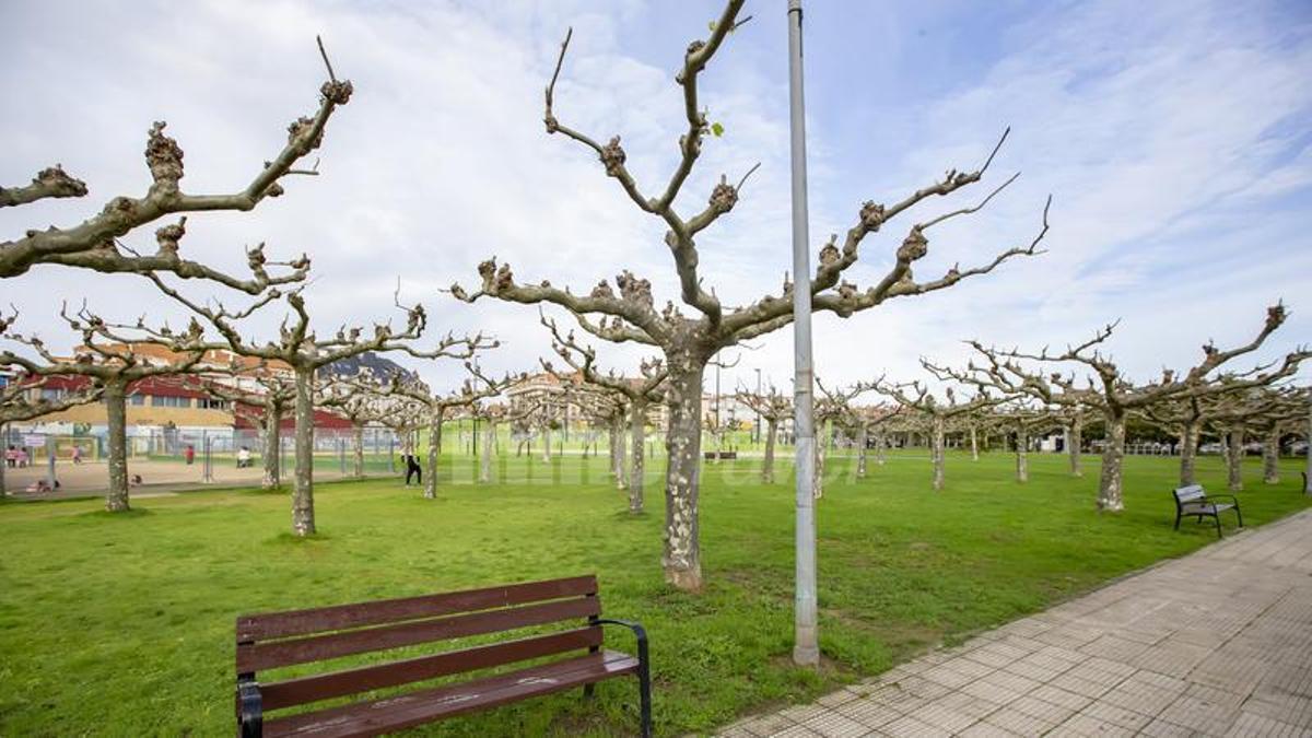 Un parque de Portonovo