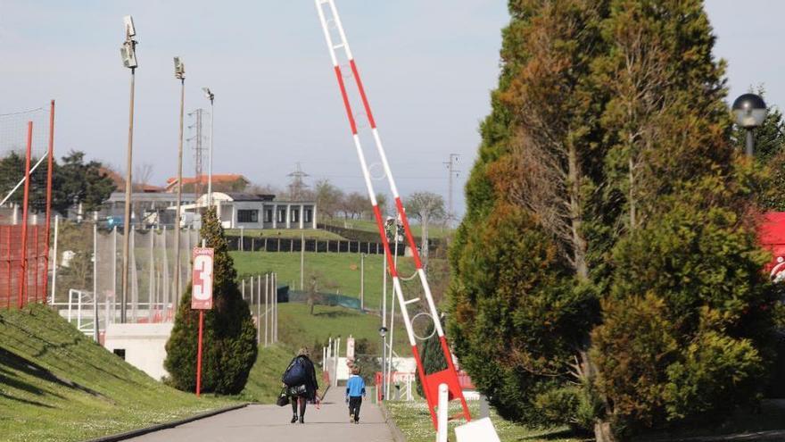 Las instalaciones de Mareo