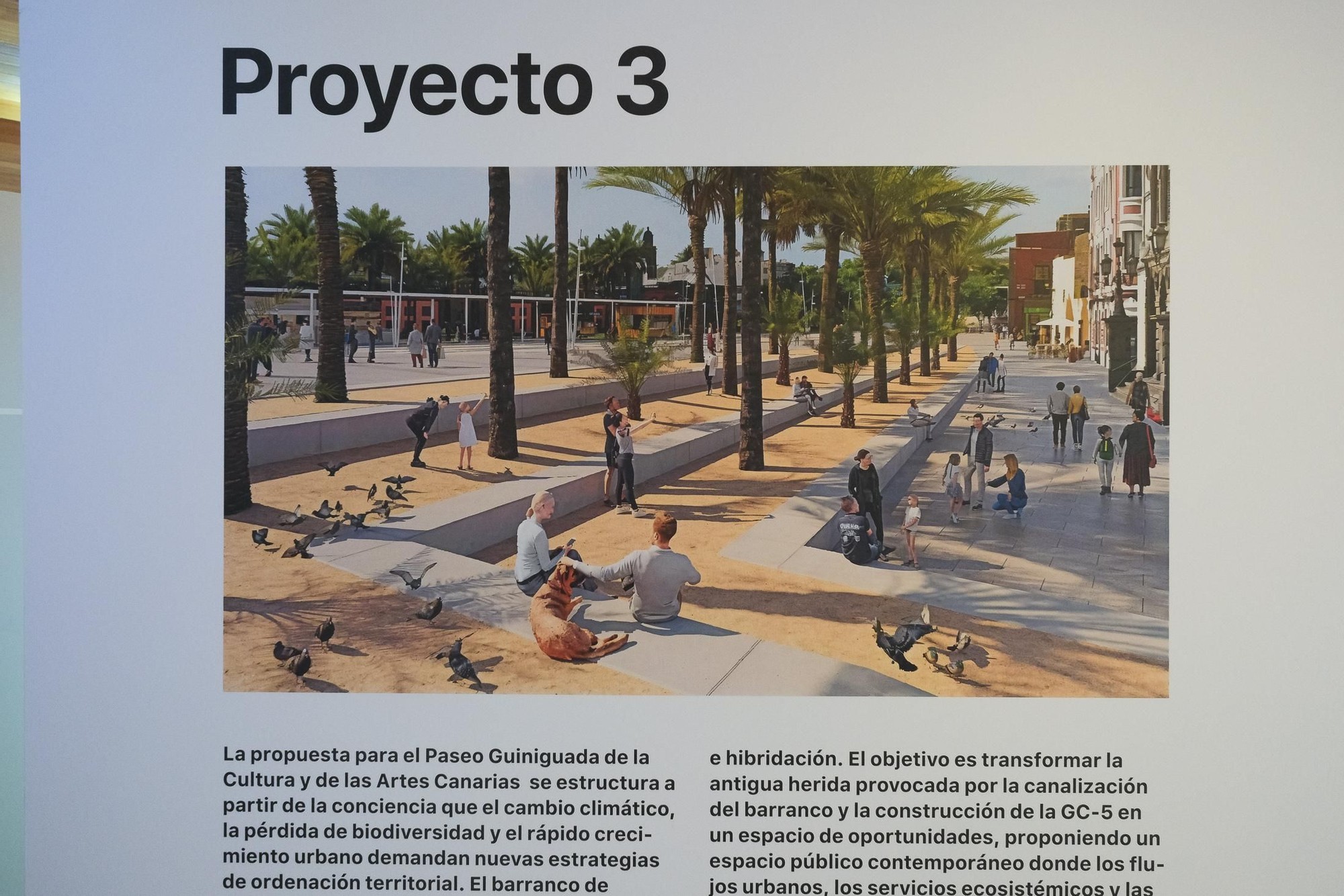 Presentación de anteproyectos finalistas del paseo Guiniguada