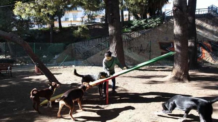 Un niño juega con varios perros en el recinto canino del parque del Arroyo de La Represa.