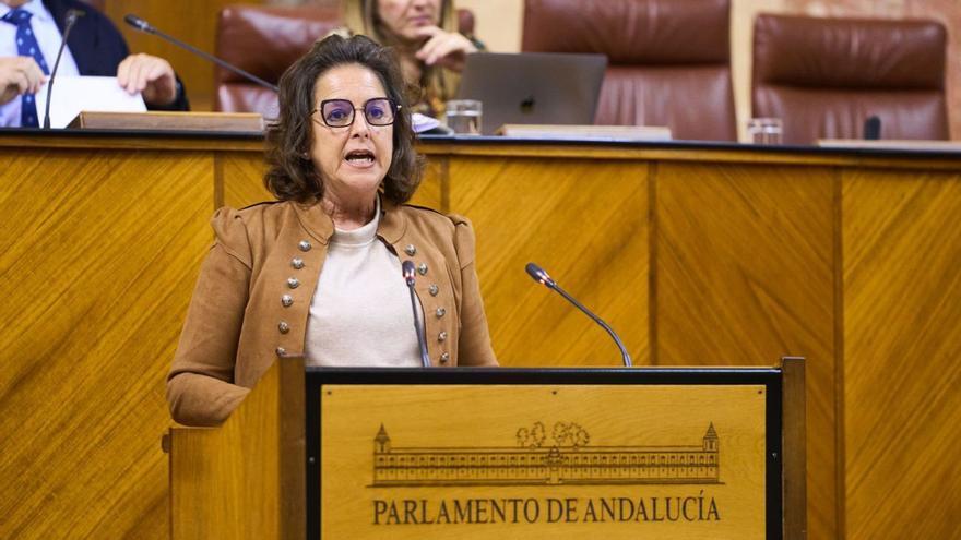 La consejera de Salud y Consumo, Catalina García, durante su comparecencia ayer en el Parlamento de Andalucía.