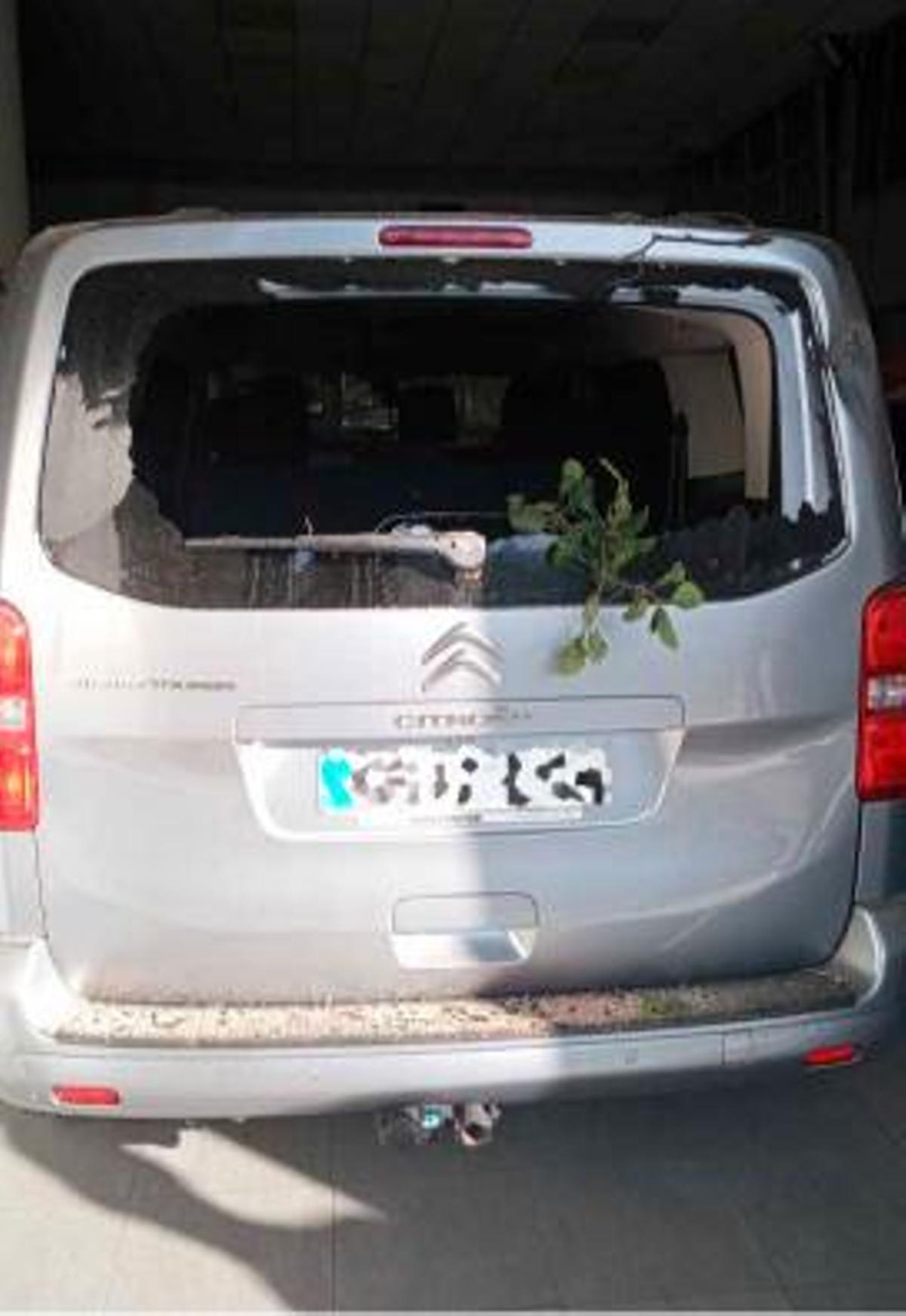 Un árbol se desploma en Vigo y daña tres coches de un concesionario