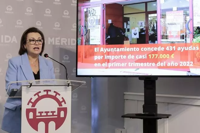 Servicios Sociales concede 431 ayudas destinadas a 336 familias