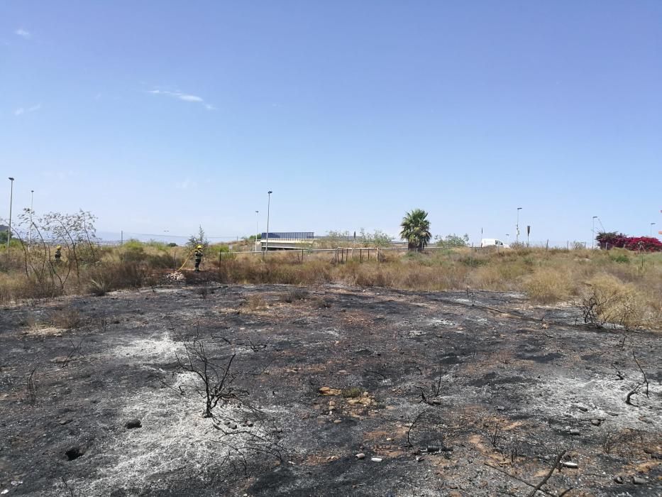 Los bomberos de Torrevieja y los bomberos forestales de Guardamar han extinguido hoy un incendio de matorral que ha arrasado cinco mil metros junto a cientos de viviendas y la variante de la N-332, fr