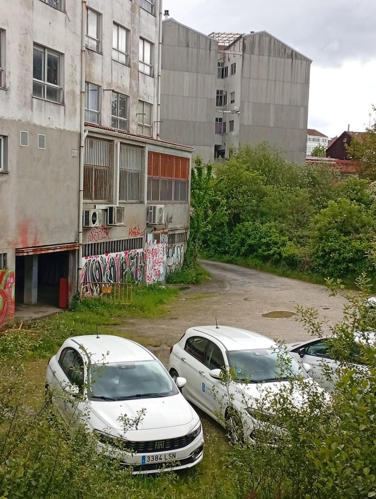 Maleza en la parte trasera del edificio.