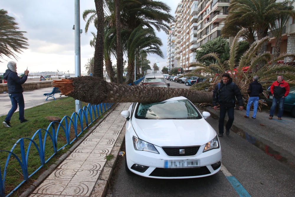 Temporal de viento y lluvia en Málaga