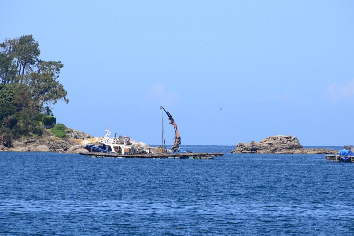 Un barco trabajando ayer en una de las bateas del poligoni Bueu B, que es el único que permanece abierto en Bueu.