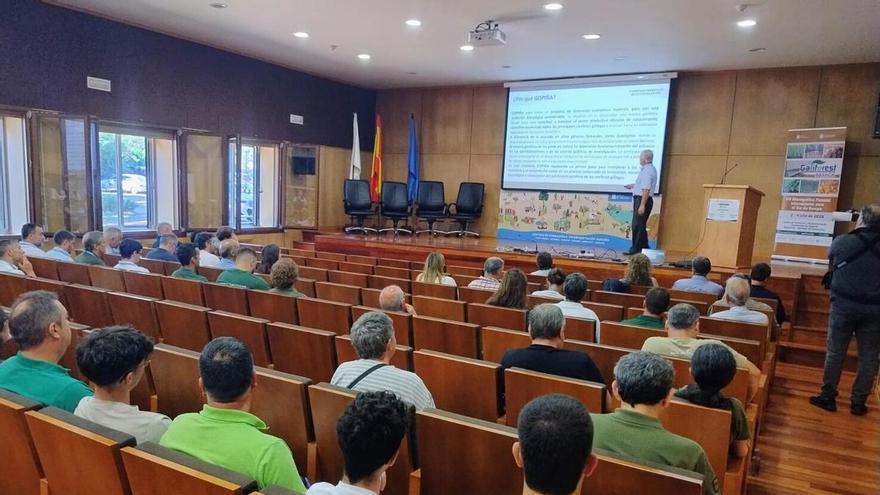 El futuro de las coníferas en Galicia y la innovación genética en eucalipto centran el simposio forestal