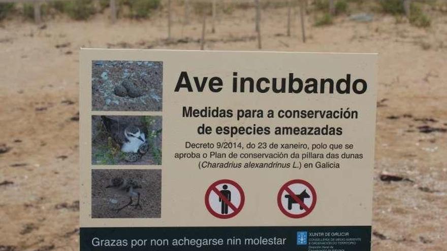 Uno de los carteles que tratan de proteger al chorlitejo. // Encarna González / SEO-BirdLife