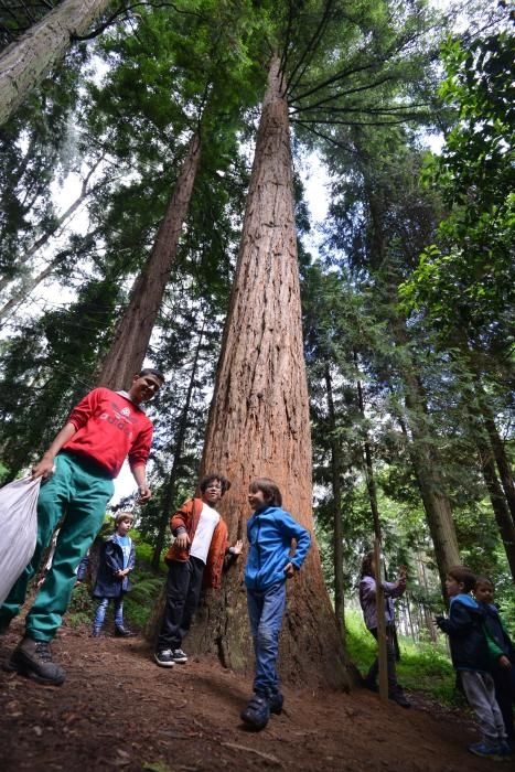 El Jardín Botánico de Lourizán, un pulmón verde