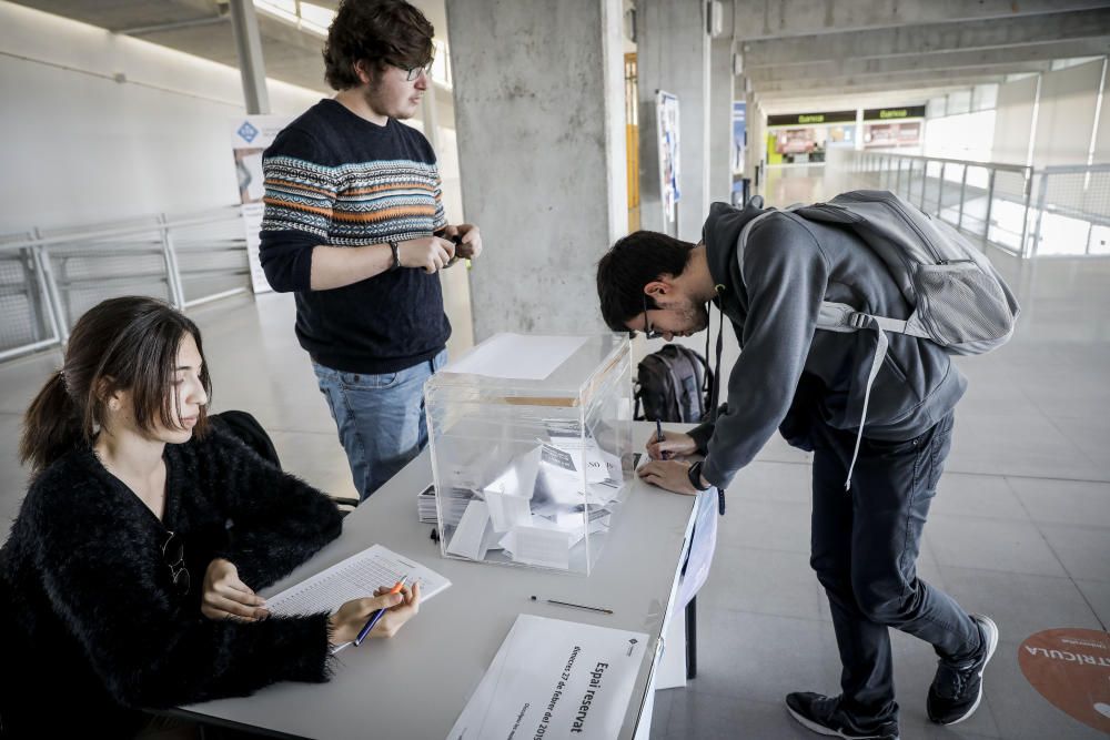 La UIB vota en referéndum: ¿Monarquía o República?