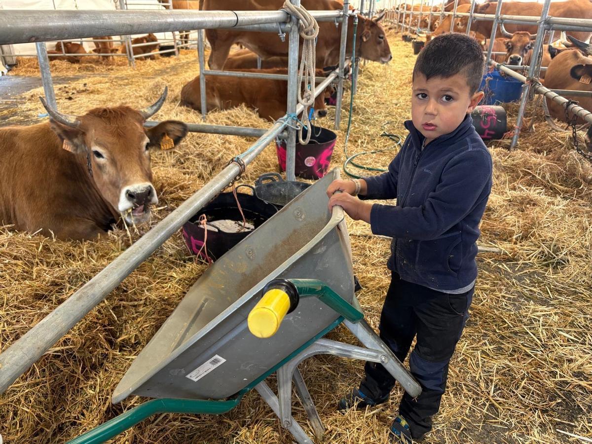 Colás Rodríguez, de cinco años, dando de comer a sus animales