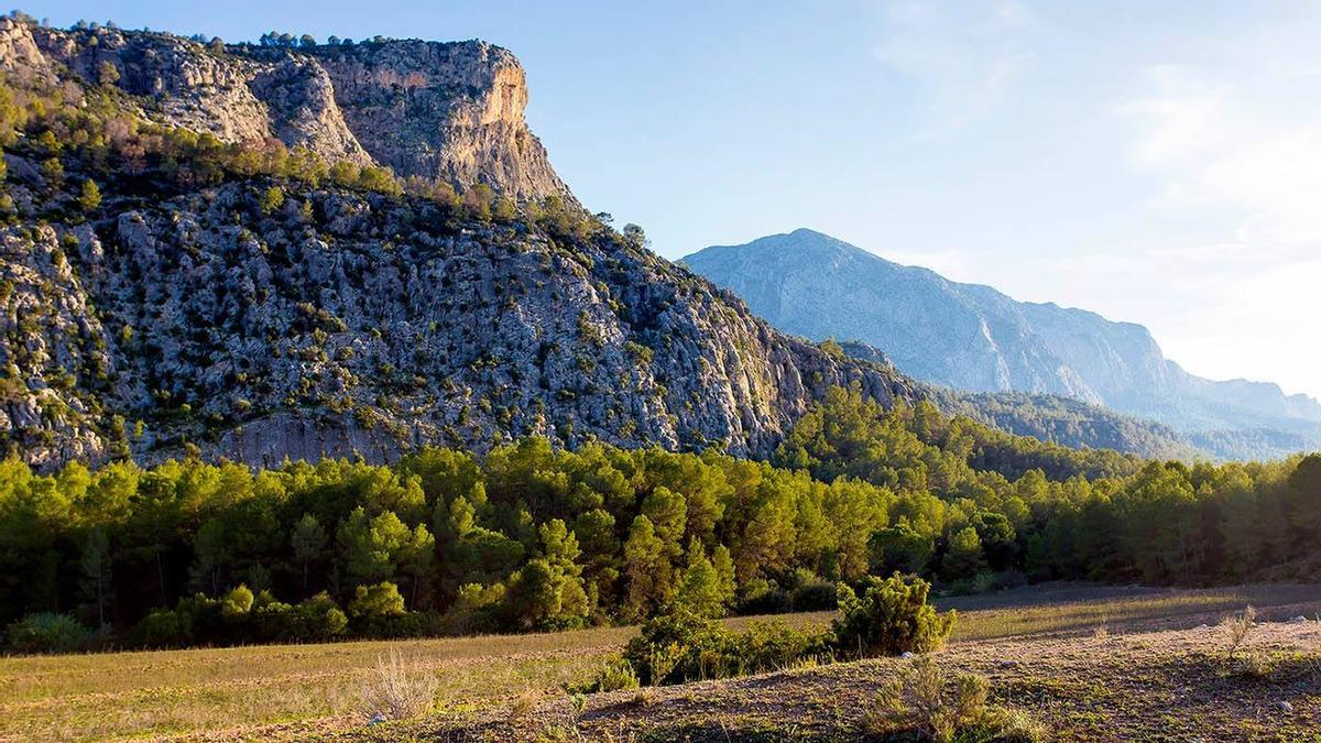 Barrancos de Gebas