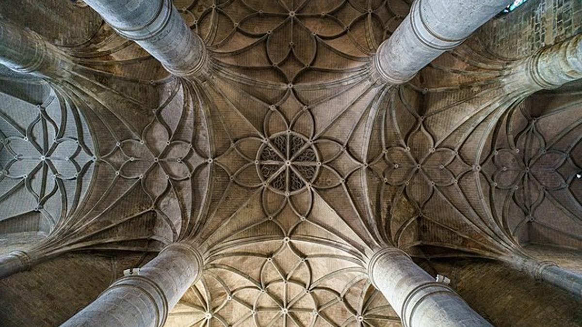 La Colegiata es mucho más que el caimán.