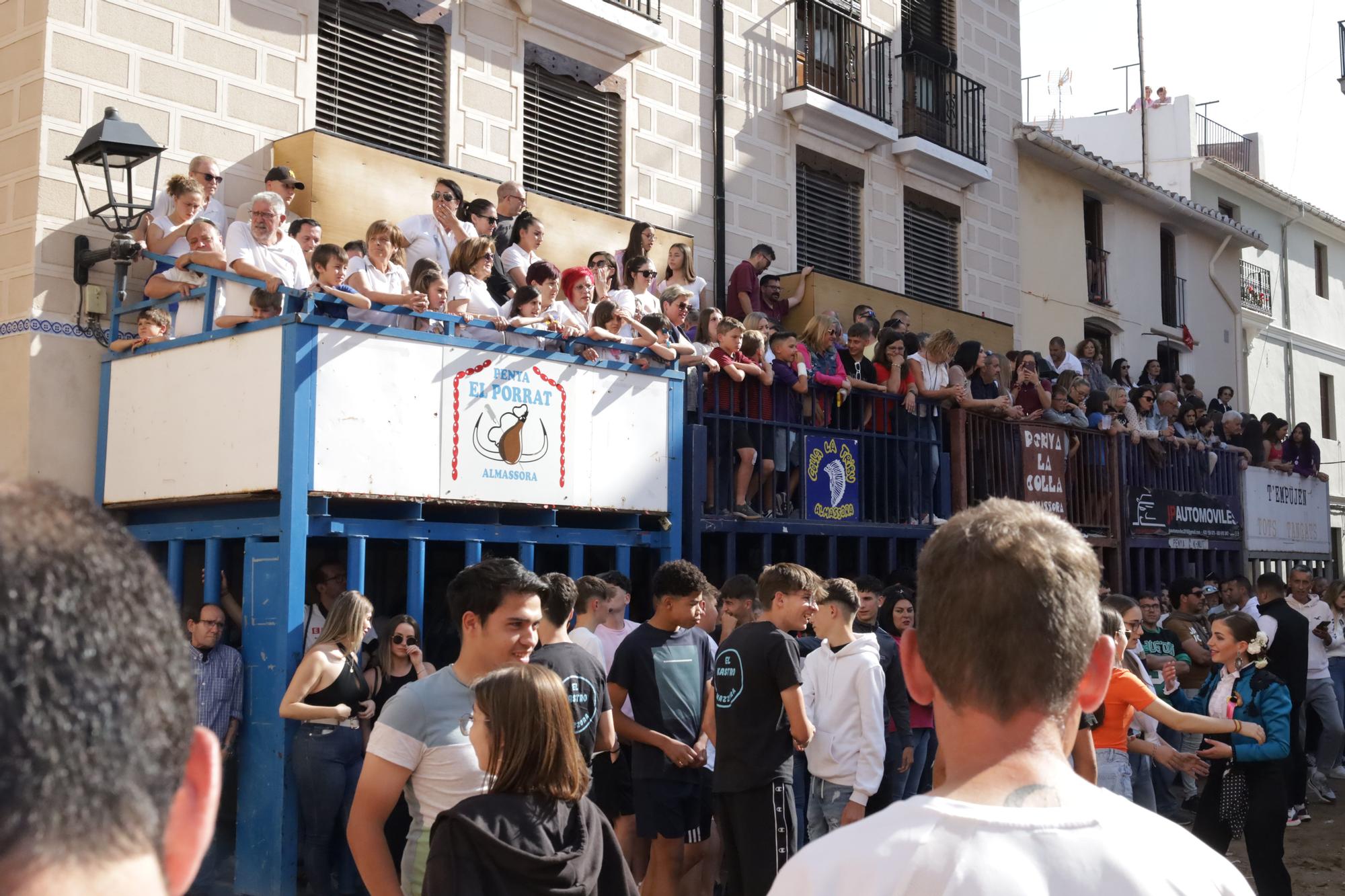 MACROGALERÍA DE FOTOS: Búscate en el encierro y los primeros 'bous' de las fiestas de Almassora