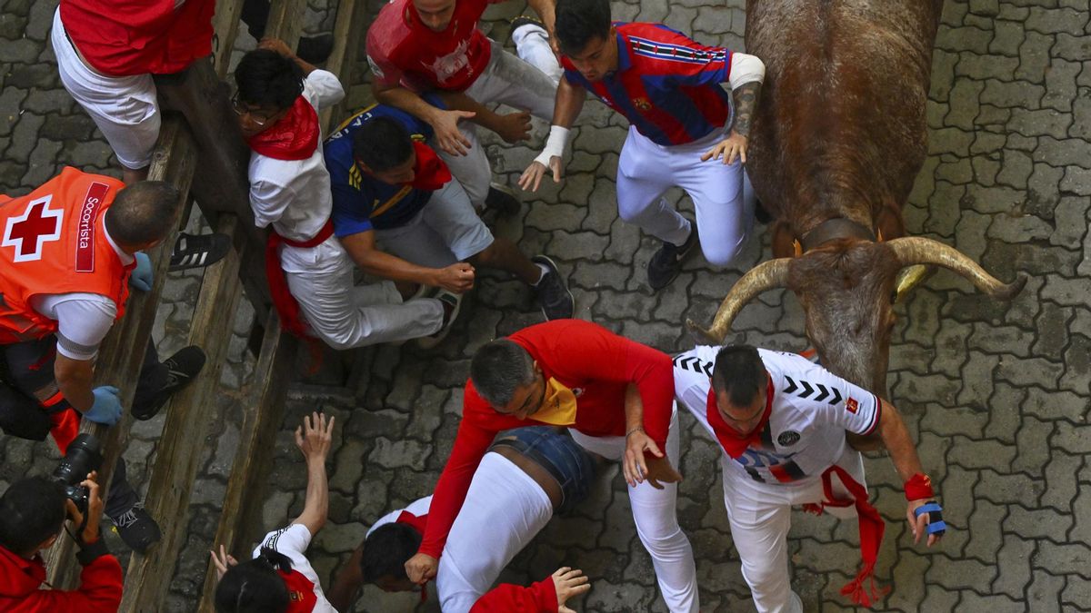 Octavo y último encierro de San Fermín con toros de la ganadería Miura